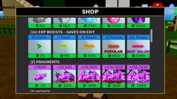Blox Fruits 2x EXP 24 hour